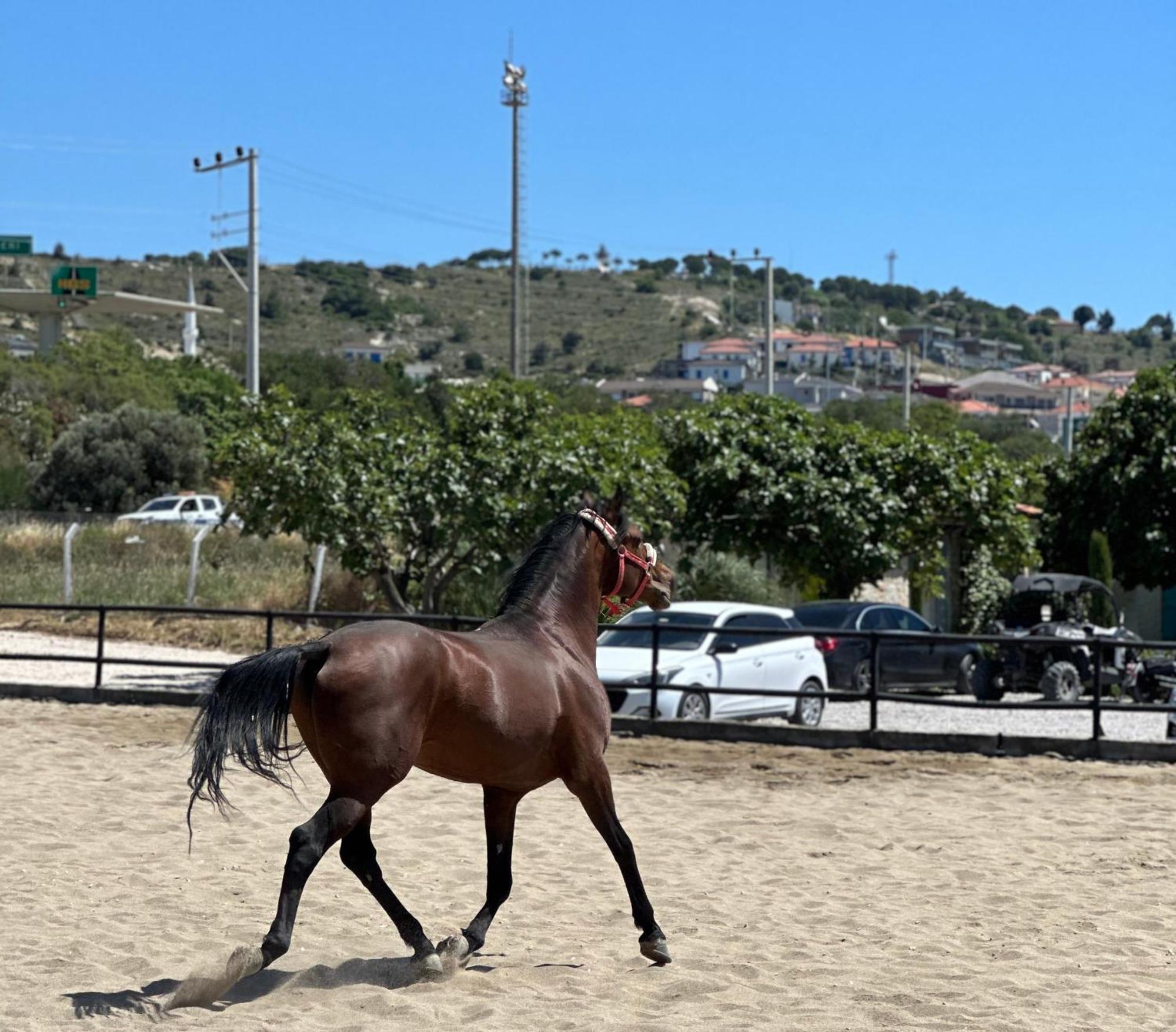 Ride And Stay Çeşme Dış mekan fotoğraf