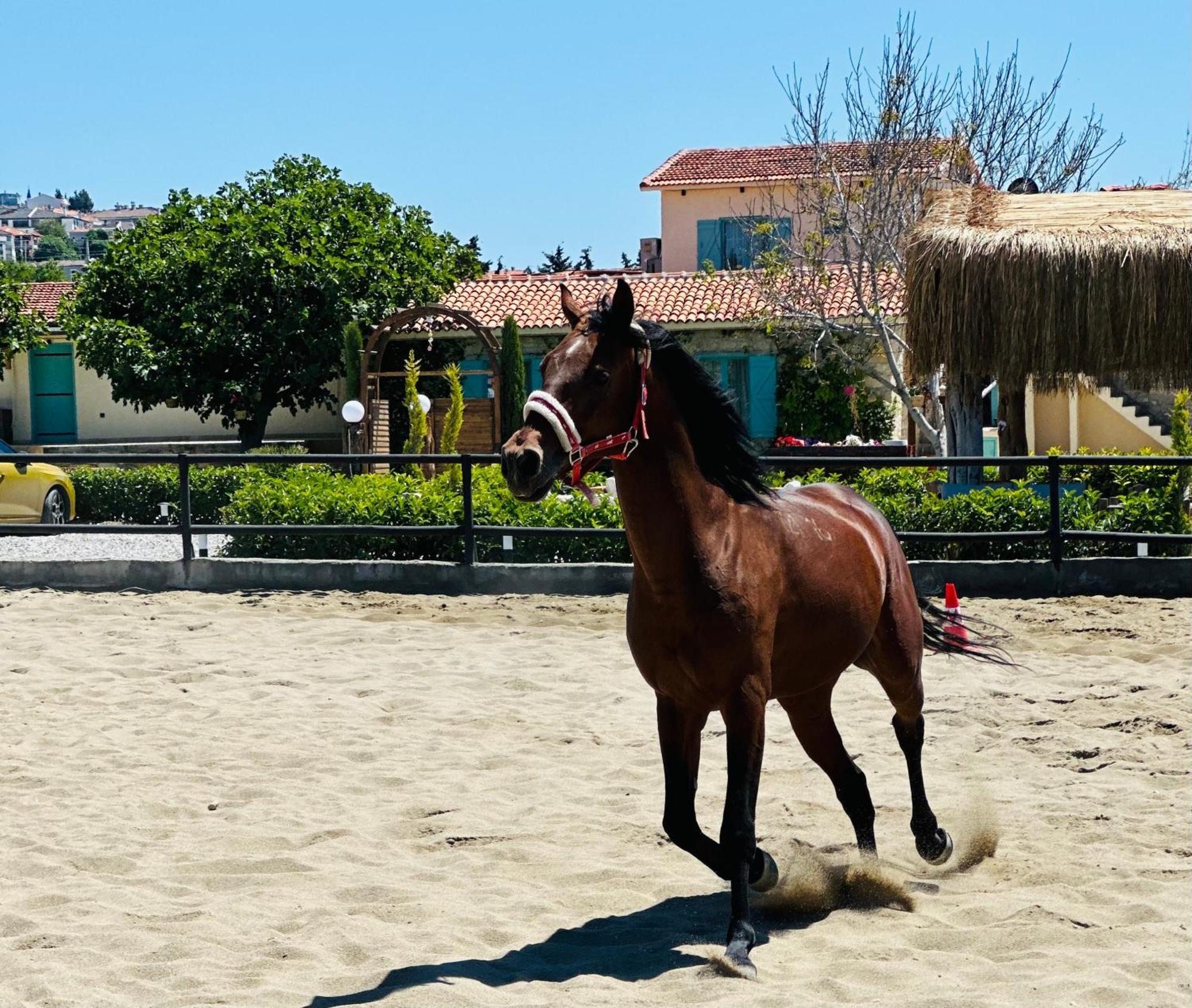 Ride And Stay Çeşme Dış mekan fotoğraf
