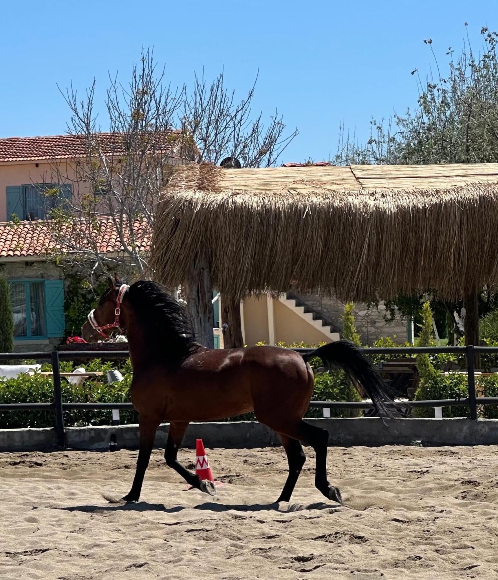 Ride And Stay Çeşme Dış mekan fotoğraf